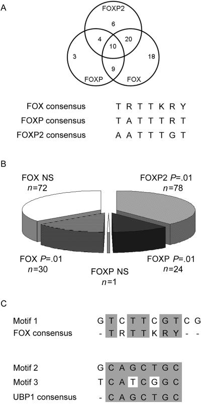 Figure  4. 