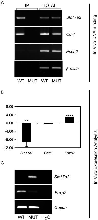 Figure  7. 