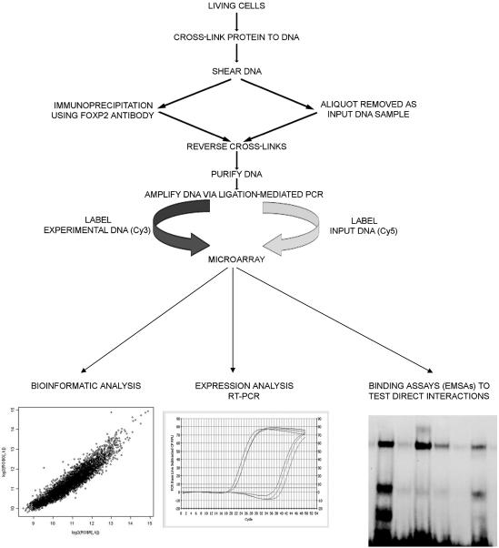 Figure  1. 