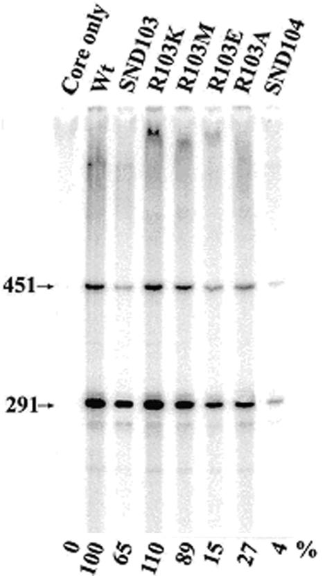 FIG. 8.