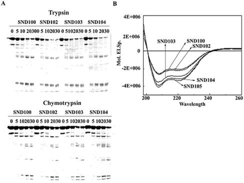 FIG. 7.