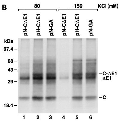 FIG. 6