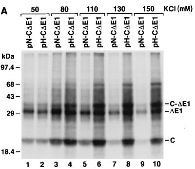 FIG. 6