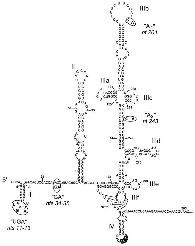 FIG. 1