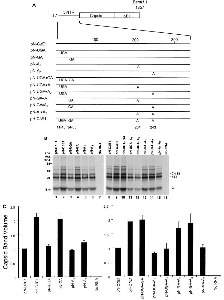 FIG. 3