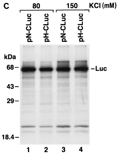 FIG. 6