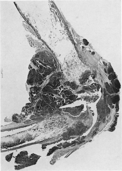 Fig. 37