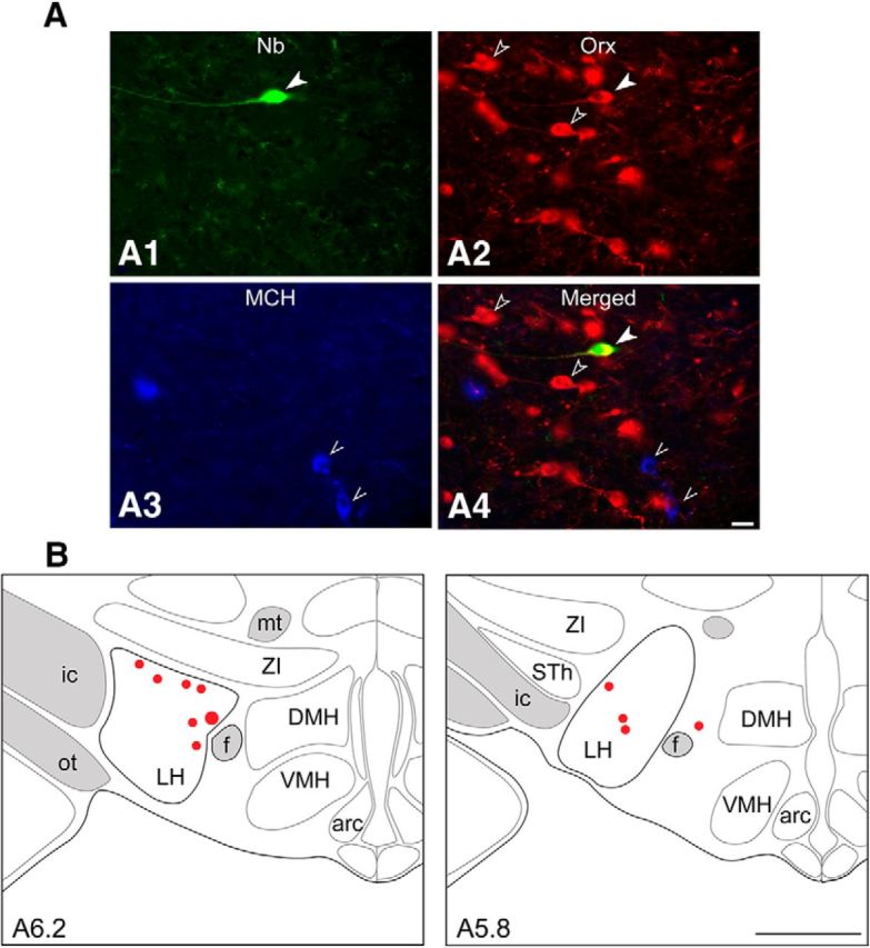 Figure 2.