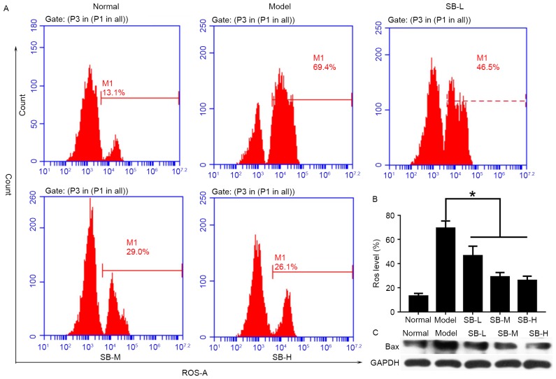 Figure 6.