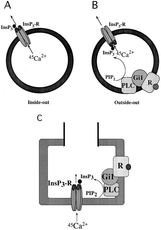 Fig. 8.