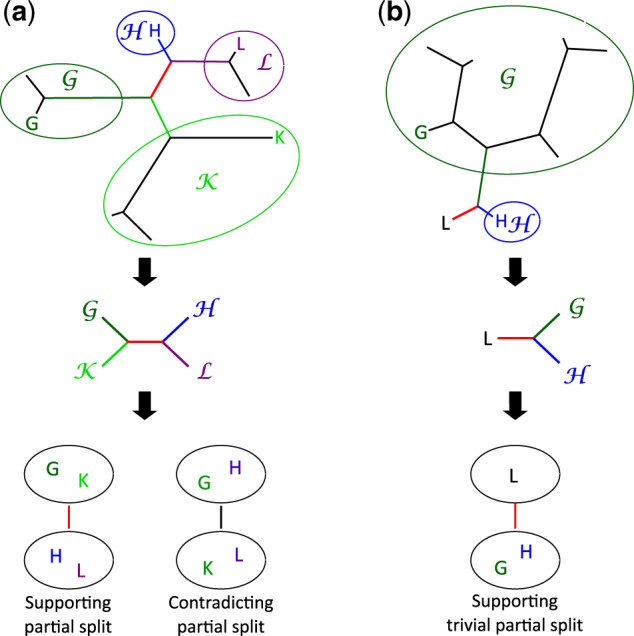 Fig. 6.