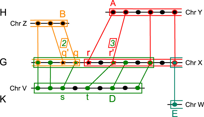 Fig. 5.