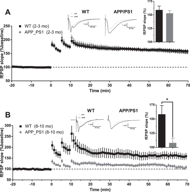 Fig.11