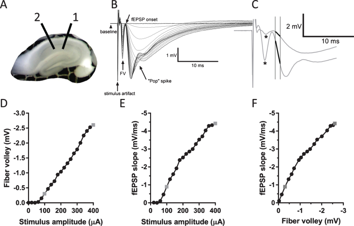 Fig.1