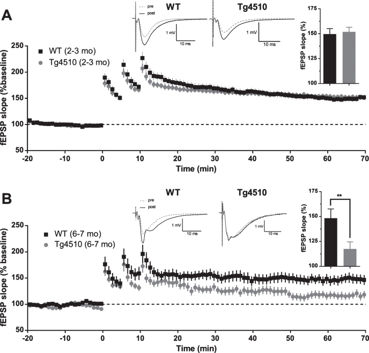 Fig.10