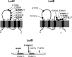 FIG 2