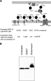 FIG 6