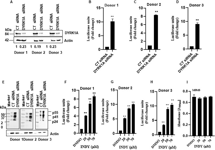 FIG 3