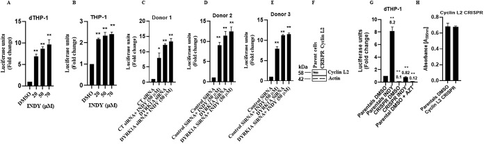 FIG 4