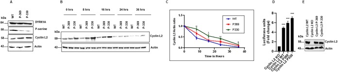 FIG 6