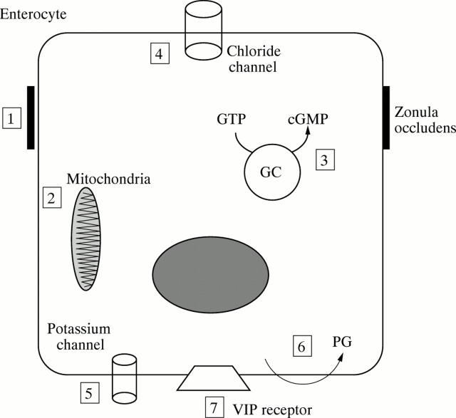 Figure 3 