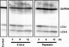 Fig. 5