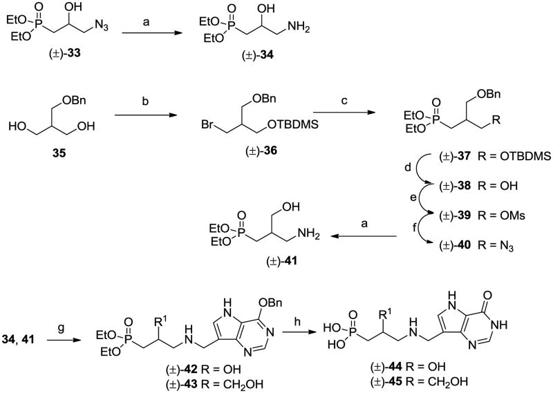 Scheme 4