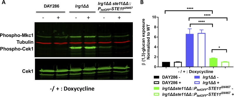 FIG 4