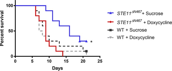 FIG 6