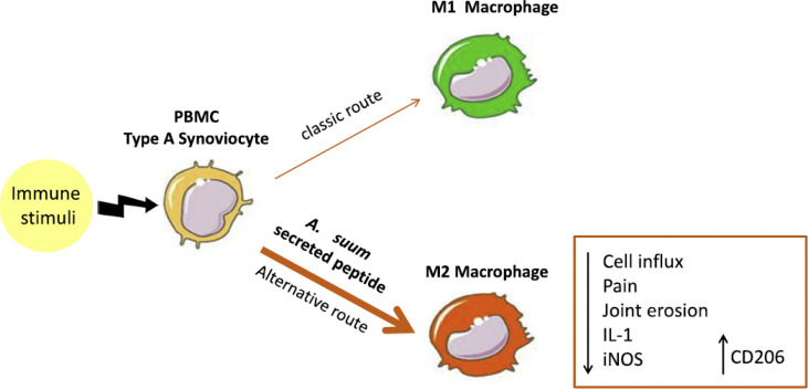 Fig. 2