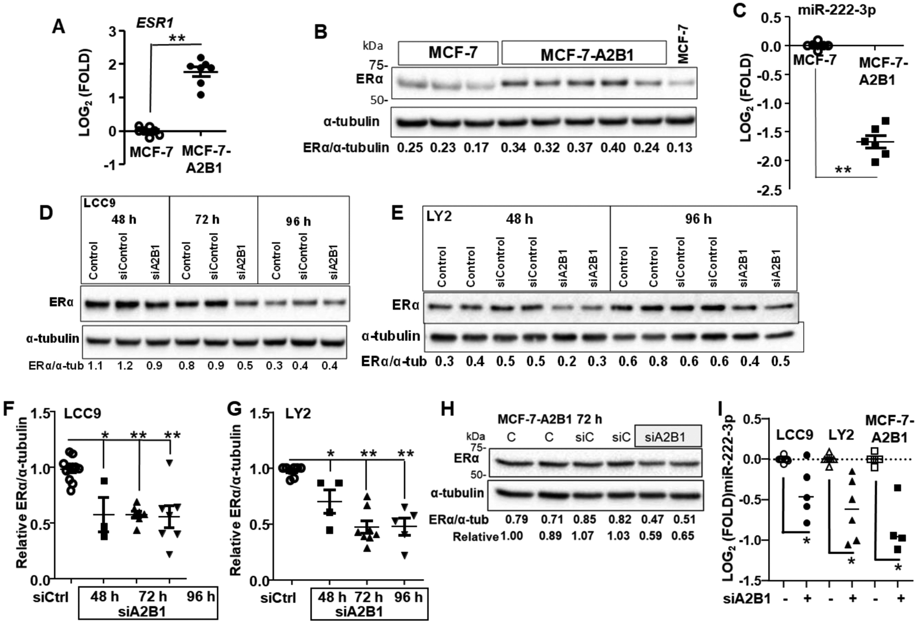 Figure 12: