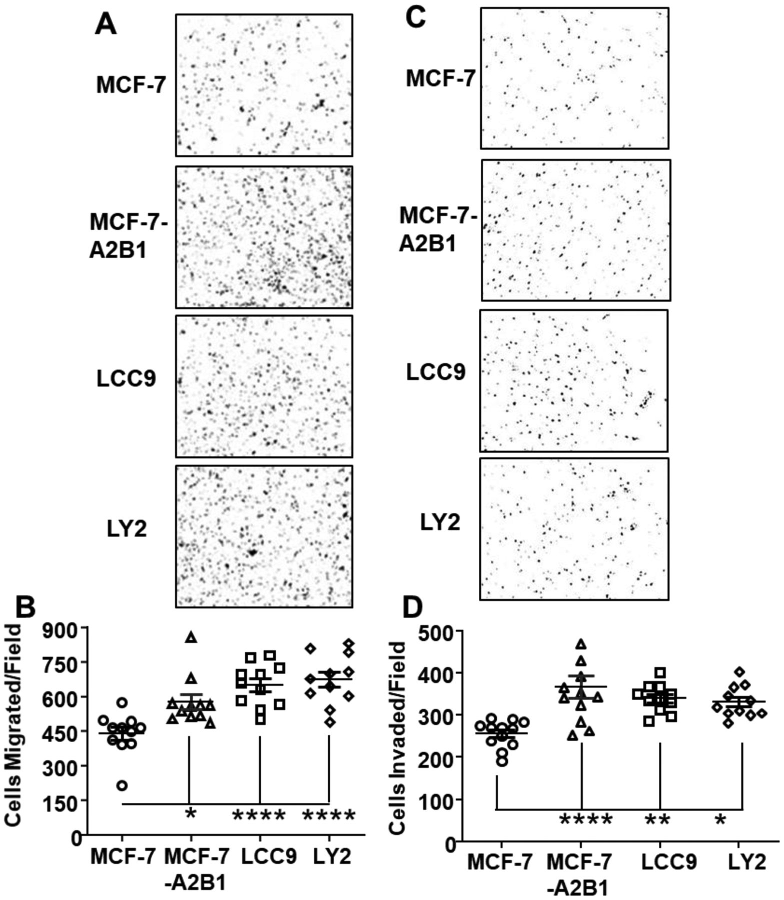 Figure 5: