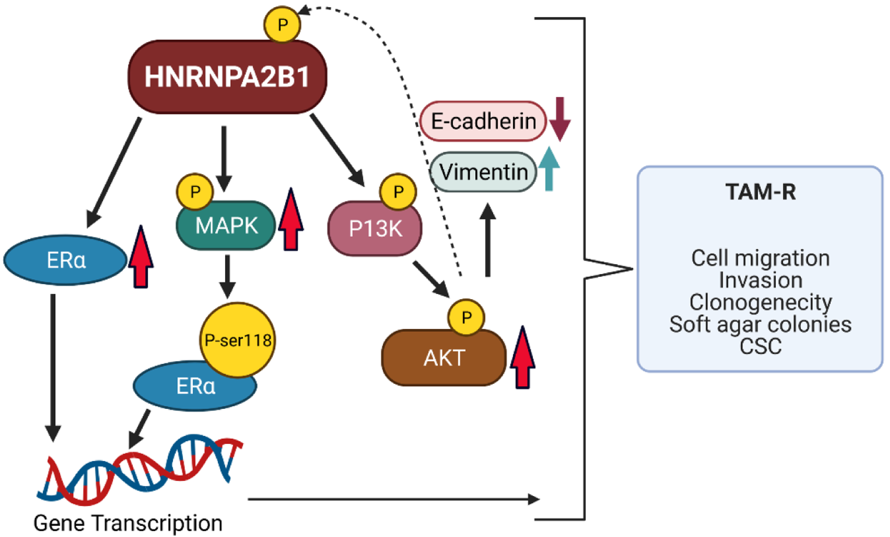 Figure 13: