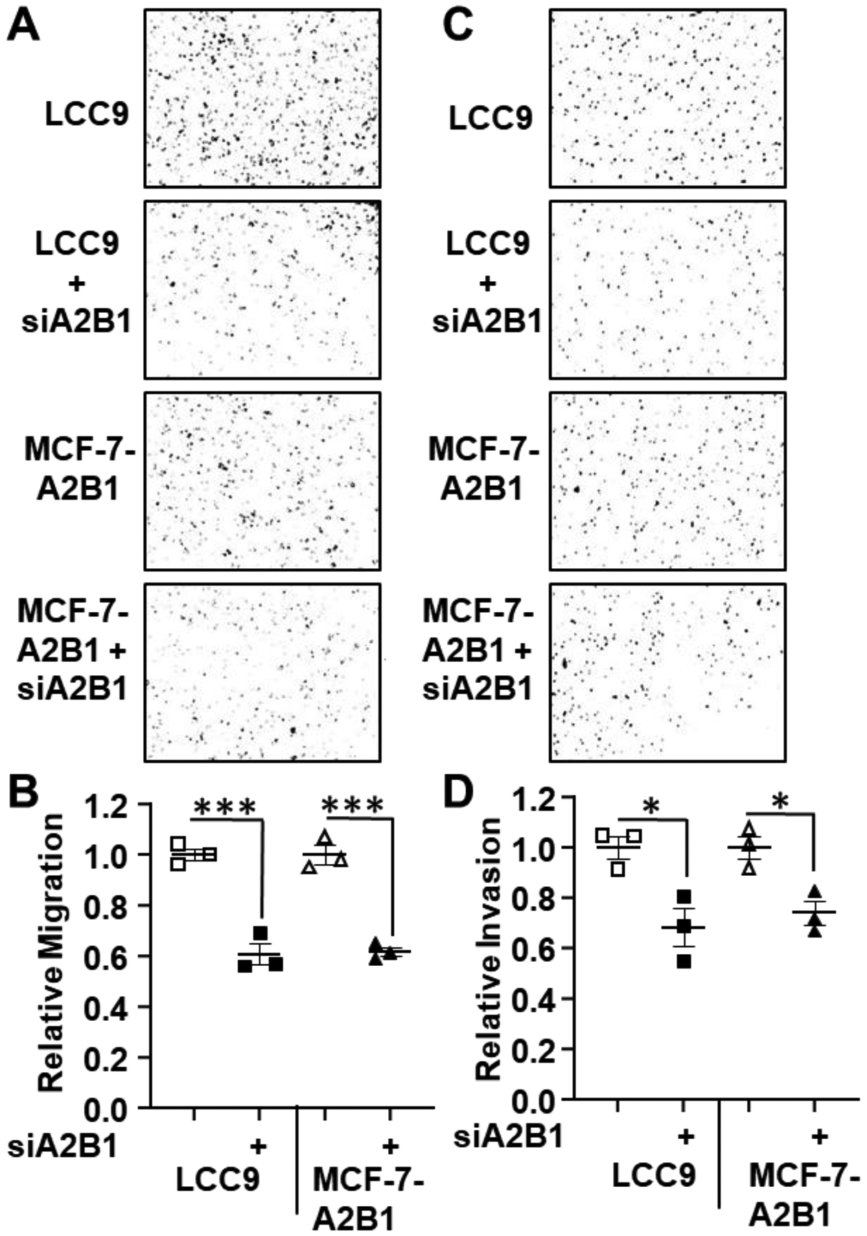 Figure 6: