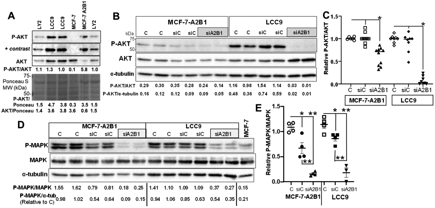 Figure 10: