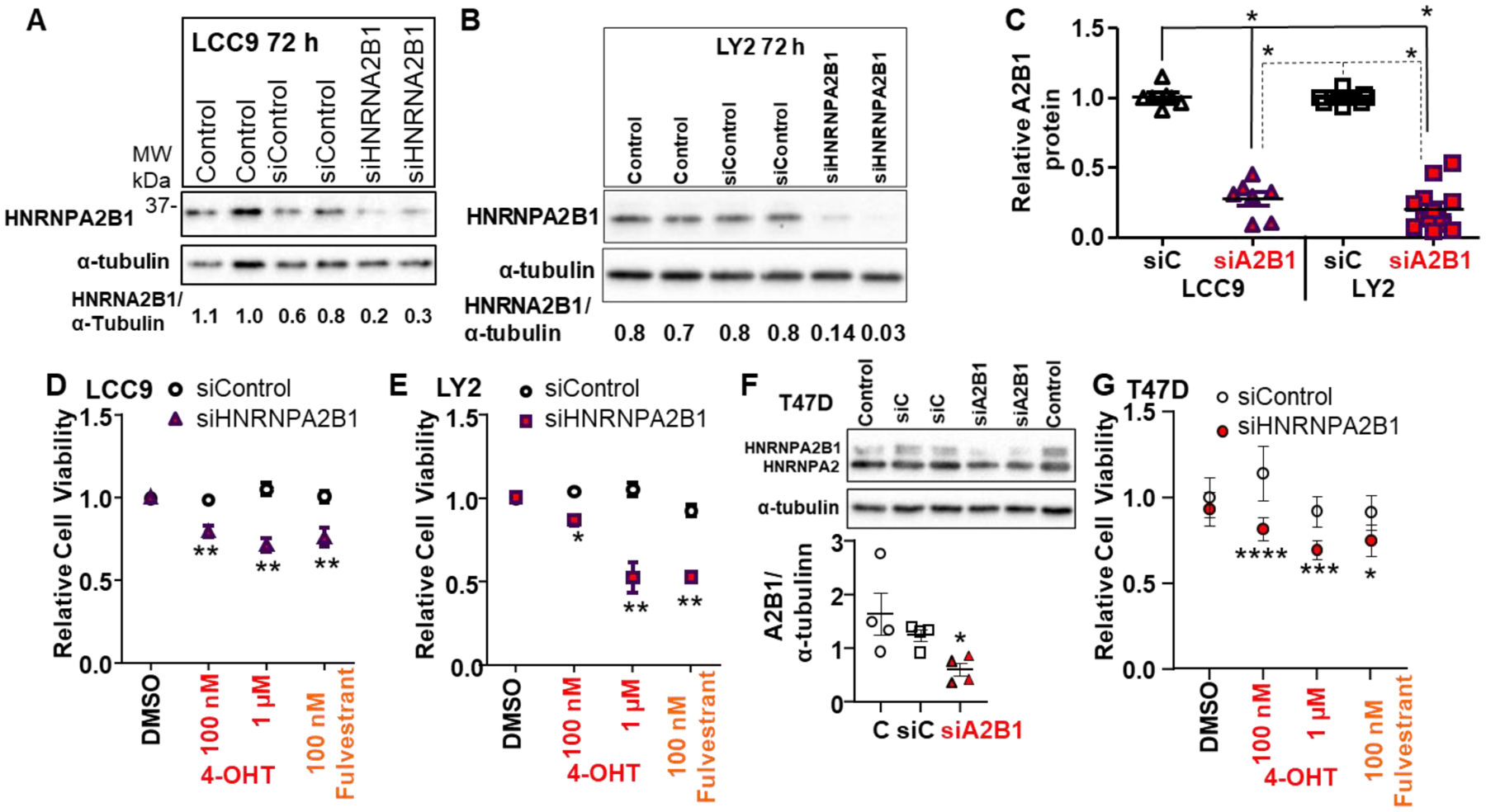 Figure 4: