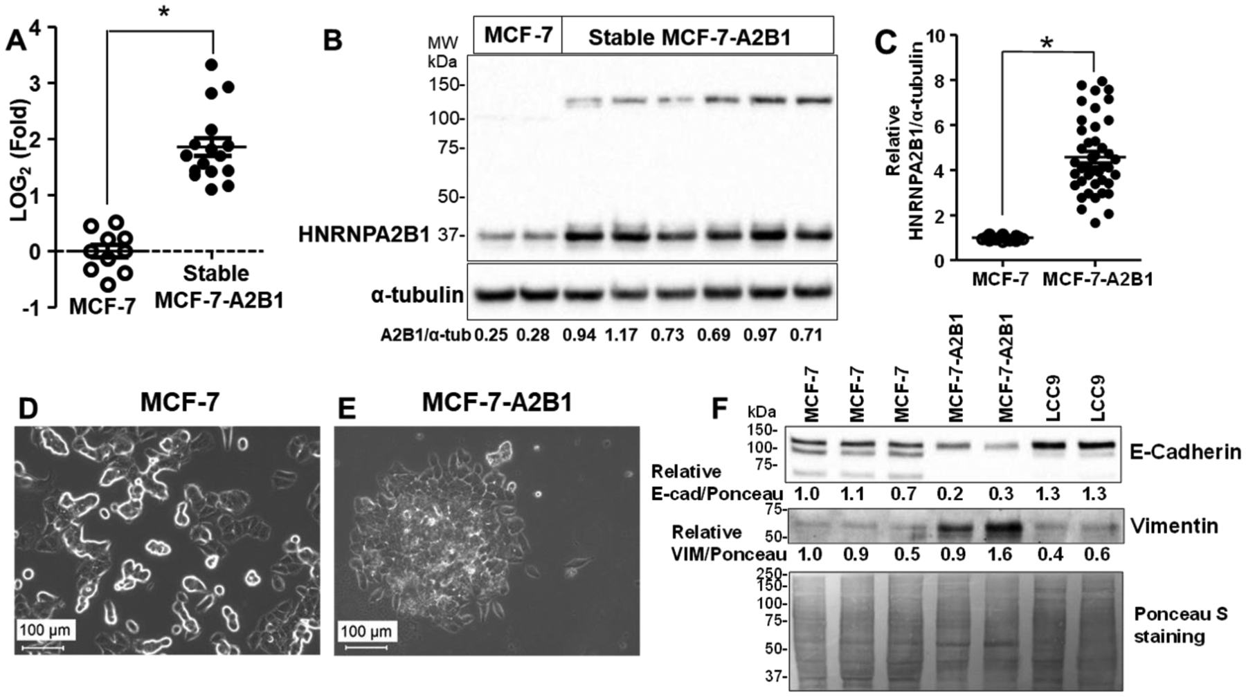 Figure 2: