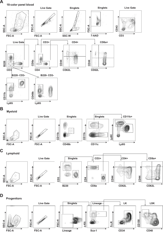 Figure 1—figure supplement 1.