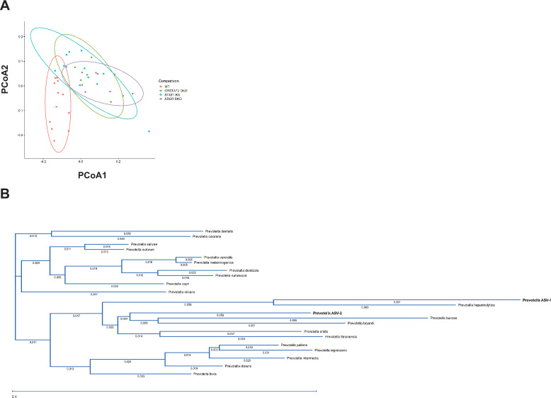 Figure 6—figure supplement 1.