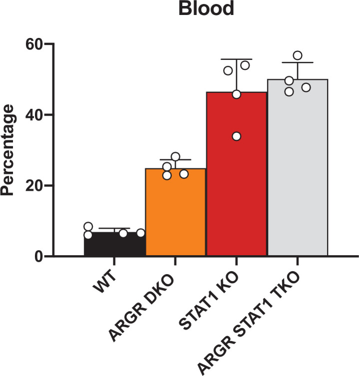 Figure 4—figure supplement 1.