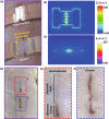 Fig. 4