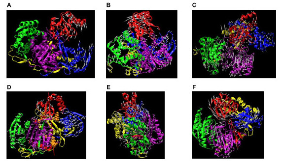 Figure 6