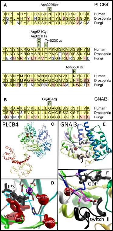 Figure 3