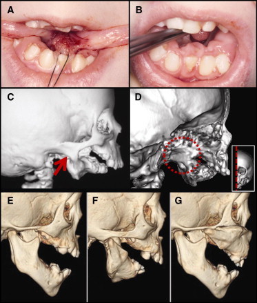 Figure 2