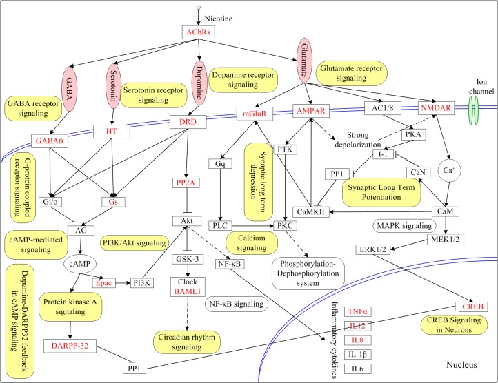 Fig 3