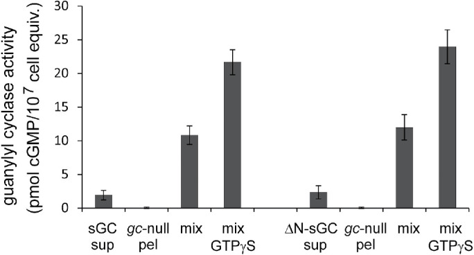 FIGURE 7: