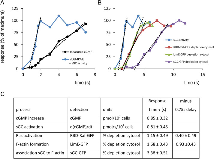 FIGURE 5: