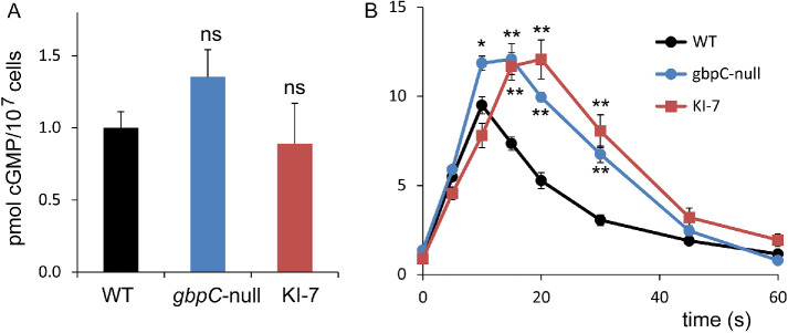 FIGURE 9: