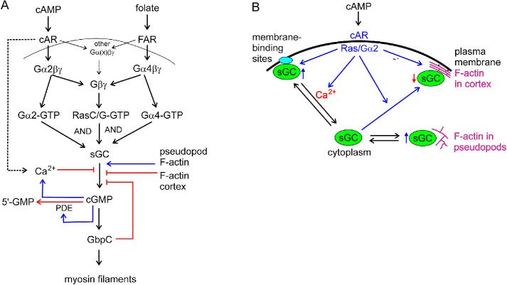 FIGURE 10: