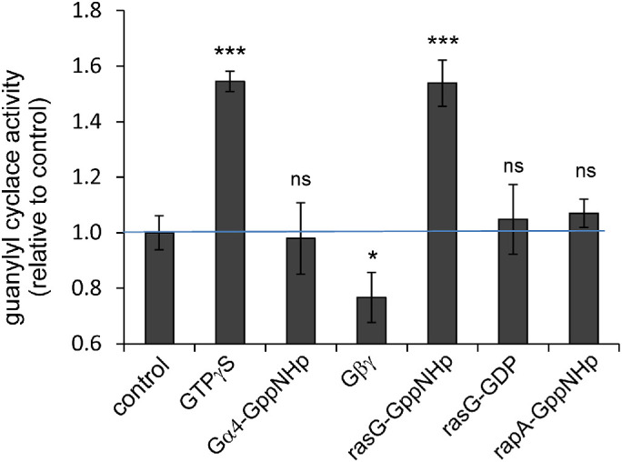 FIGURE 3: